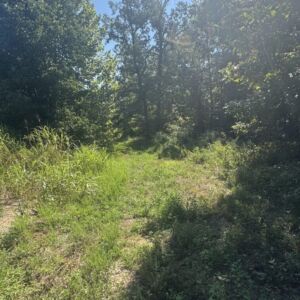 1.62 acres in Poplar Bluff, MO (Butler County) - APN 1090809320000000004010 (photo 13)